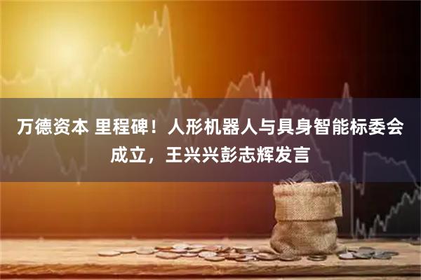 万德资本 里程碑！人形机器人与具身智能标委会成立，王兴兴彭志辉发言